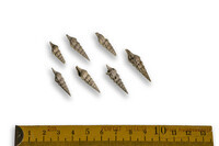 F 12323
<br/>
<br/>
<em></em>